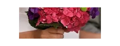 Afacere 7 imagine FLORARIA FLORIS STYLE Shopping în Cluj-Napoca CJ