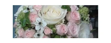 Afacere 8 imagine FLORARIA FLORIS STYLE Shopping în Cluj-Napoca CJ