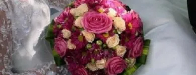 Afacere 11 imagine FLORARIA FLORIS STYLE Shopping în Cluj-Napoca CJ