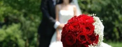 Afacere 12 imagine FLORARIA FLORIS STYLE Shopping în Cluj-Napoca CJ