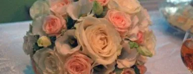 Afacere 14 imagine FLORARIA FLORIS STYLE Shopping în Cluj-Napoca CJ