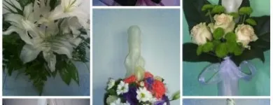 Afacere 2 imagine FLORARIA I.I.GHERASA NAGY BRIGITTA Shopping în Satu Mare