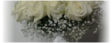 Afacere 12 imagine FLORARIA I.I.GHERASA NAGY BRIGITTA Shopping în Satu Mare