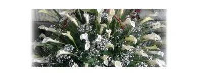 Afacere 14 imagine FLORARIA I.I.GHERASA NAGY BRIGITTA Shopping în Satu Mare