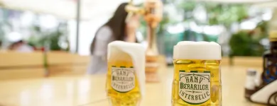 Afacere 10 imagine HANU' BERARILOR CASA ELENA LUPESCU Restaurant cu specific est-european în Bucuresti B