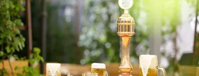 Afacere 12 imagine HANU' BERARILOR CASA ELENA LUPESCU Restaurant cu specific est-european în Bucuresti B
