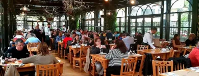 Afacere 8 imagine HANU' BERARILOR CASA OPREA SOARE Restaurant cu specific est-european în Bucharest B