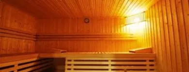 Afacere 3 imagine HOTEL MINERVA Turism şi Agrement în Bucureşti