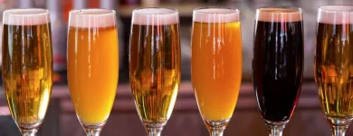 Afacere 12 imagine JW MARRIOTT BUCHAREST GRAND HOTEL Turism şi Agrement în Bucharest B