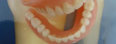 Afacere 2 imagine LABORATOR TEHNICA DENTARA SECARA FLORENTINA Sănătate şi Medicină în Bucureşti