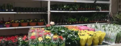 Afacere 2 imagine LEROY MERLIN TIMISOARA Magazin de bricolaj în Timişoara TM