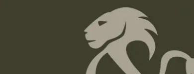 Afacere 2 imagine LIONS UNITED Traducători în Timişoara TM