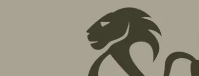 Afacere 3 imagine LIONS UNITED Traducători în Timişoara TM