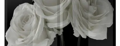 Afacere 4 imagine MAGAZIN JULIANA Shopping în Bucureşti