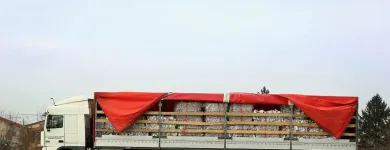 Afacere 4 imagine MARY DEUTZ SRL - COLECTARE DESEURI BUCURESTI Servicii profesionale în Bucuresti B