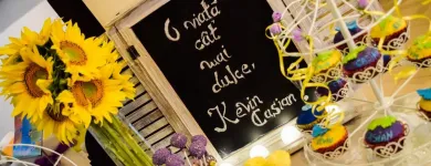 Afacere 9 imagine PETRECERI FANTASTICE Servicii profesionale în Bucureşti