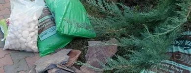 Afacere 2 imagine PLANIRO Servicii profesionale în Cluj-Napoca CJ