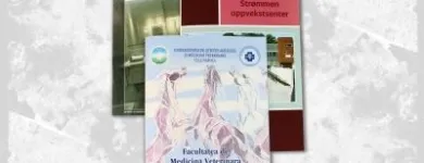 Afacere 4 imagine ROXER GRUP - COLORAMA Shopping în Cluj-Napoca CJ