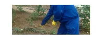 Afacere 3 imagine SARA SI TARA SERVICES Servicii profesionale în Bucureşti