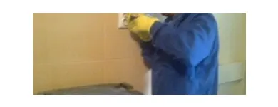 Afacere 4 imagine SARA SI TARA SERVICES Servicii profesionale în Bucureşti