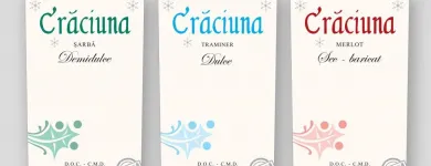 Afacere 17 imagine SC ADV MEDIA PROJECT SRL Servicii profesionale în Iaşi