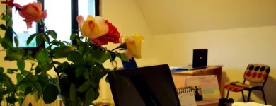 Afacere 7 imagine SC LIVE COMMUNICATIONS SRL Servicii profesionale în Cluj-Napoca CJ