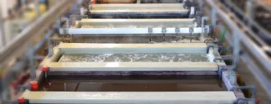 Afacere 2 imagine SC SECURIT GRUP SRL Industrie şi Agricultură în Deva HD