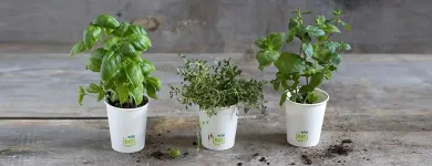 Afacere 5 imagine SC TINKOFF SRL Shopping în Cluj-Napoca CJ