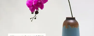 Afacere 1 imagine SHARETRADE ARTIFICIAL FLOWER MANUFACTURER CO., LTD Servicii de amenajări cu plante de interior în Bucharest B