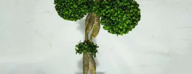 Afacere 2 imagine SHARETRADE ARTIFICIAL FLOWER MANUFACTURER CO., LTD Servicii de amenajări cu plante de interior în Bucharest B