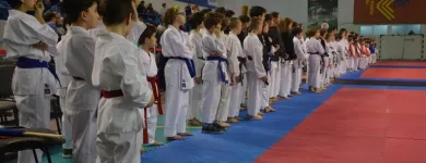 Afacere 5 imagine SHUHARI DOJO Sport şi Activităţi în aer liber în Bucureşti