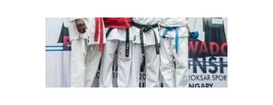 Afacere 7 imagine SHUHARI DOJO Sport şi Activităţi în aer liber în Bucureşti