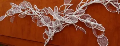 Afacere 1 imagine TENIS PRIM CLUB Terenuri de tenis în Bucureşti