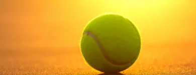 Afacere 2 imagine TENIS PRIM CLUB Terenuri de tenis în Bucureşti