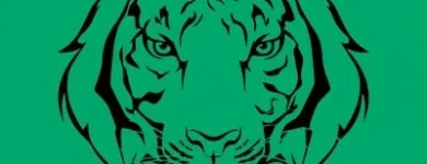 Afacere 3 imagine TIGRESS STYLE Shopping în Timişoara TM