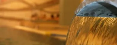 Afacere 4 imagine UNIREA SPA Turism şi Agrement în Iaşi