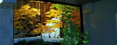 Afacere 3 imagine VITRALII POP Uşi, ferestre şi accesorii în Cluj-Napoca CJ