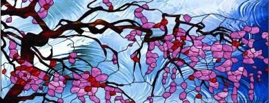 Afacere 10 imagine VITRALII POP Uşi, ferestre şi accesorii în Cluj-Napoca CJ