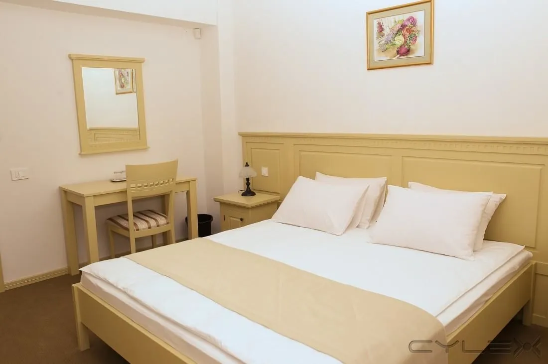 Afacere 6 imagine BOHEMIA TURISM SRL