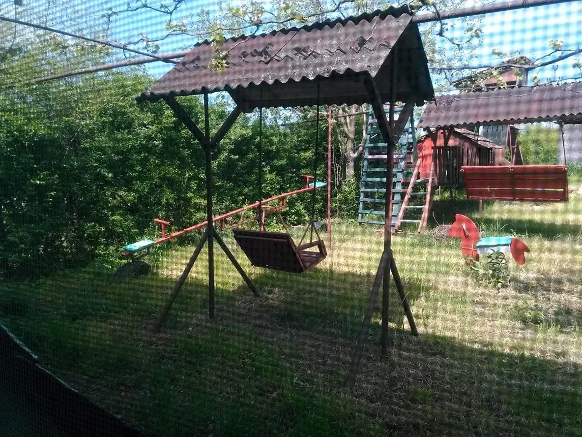 Afacere 1 imagine PETER ANNAMARIA&GEZA