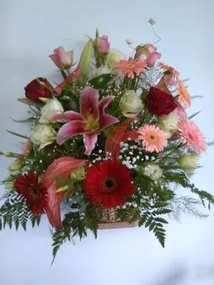 Afacere 4 imagine FLORARIA I.I.GHERASA NAGY BRIGITTA