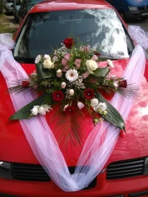 Afacere 7 imagine FLORARIA I.I.GHERASA NAGY BRIGITTA