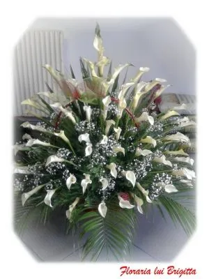 Afacere 14 imagine FLORARIA I.I.GHERASA NAGY BRIGITTA