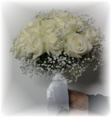 Afacere 12 imagine FLORARIA I.I.GHERASA NAGY BRIGITTA