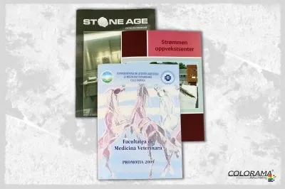 Afacere 4 imagine ROXER GRUP - COLORAMA