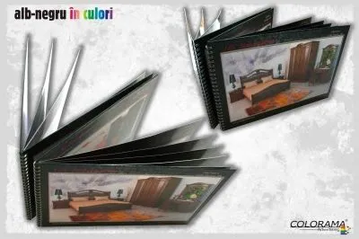 Afacere 6 imagine ROXER GRUP - COLORAMA