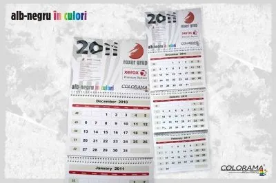 Afacere 8 imagine ROXER GRUP - COLORAMA