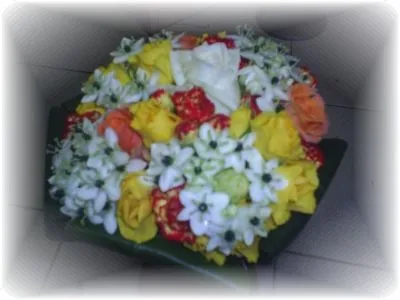 Afacere 8 imagine FLORARIA I.I.GHERASA NAGY BRIGITTA