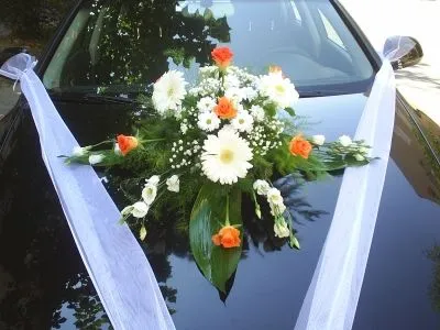 Afacere 10 imagine FLORARIA I.I.GHERASA NAGY BRIGITTA