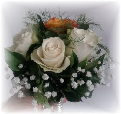 Afacere 13 imagine FLORARIA I.I.GHERASA NAGY BRIGITTA